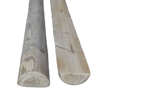 SUB-FAMILIA-MIG-PAL.png SUB-FAMILIA-MIG-PAL.png